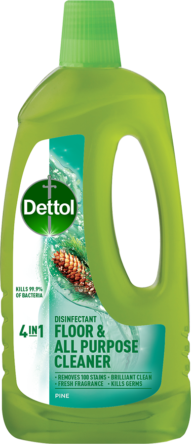 Dettol 4in1 Floor and All Purpose Cleaner Pine